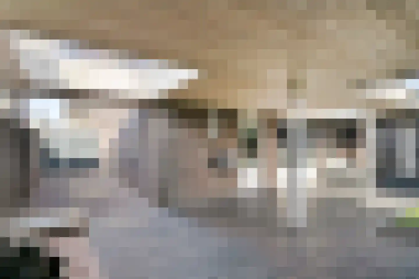 Vogelwikke 12 Bladel thumbnail 47
