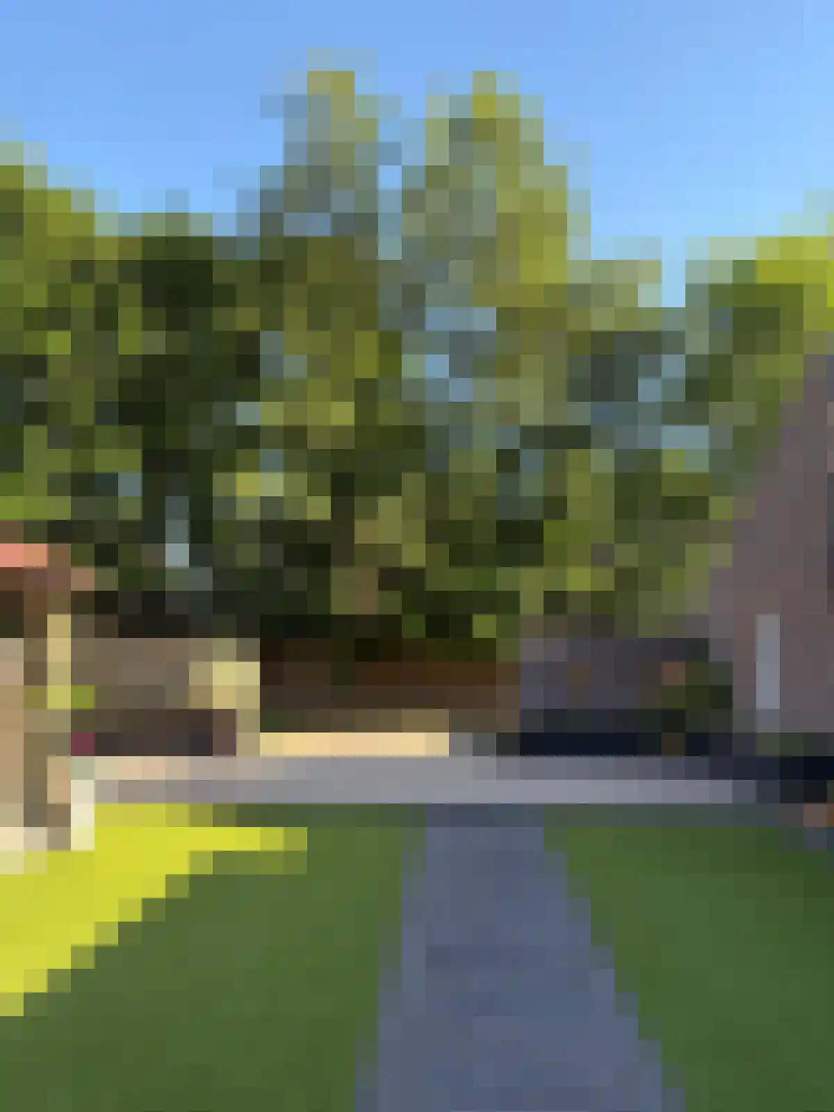 Vogelwikke 12 Bladel thumbnail 5