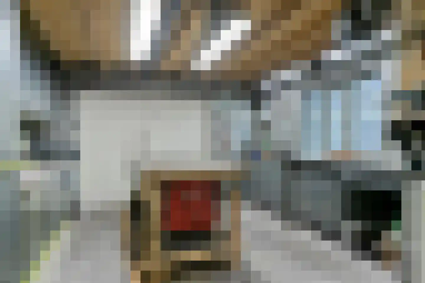 Vogelwikke 12 Bladel thumbnail 50