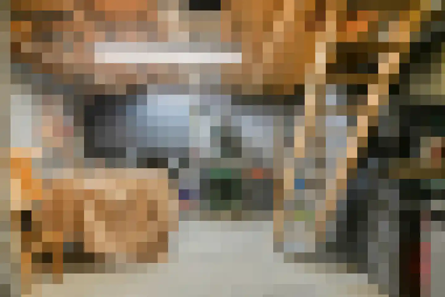 Vogelwikke 12 Bladel thumbnail 51