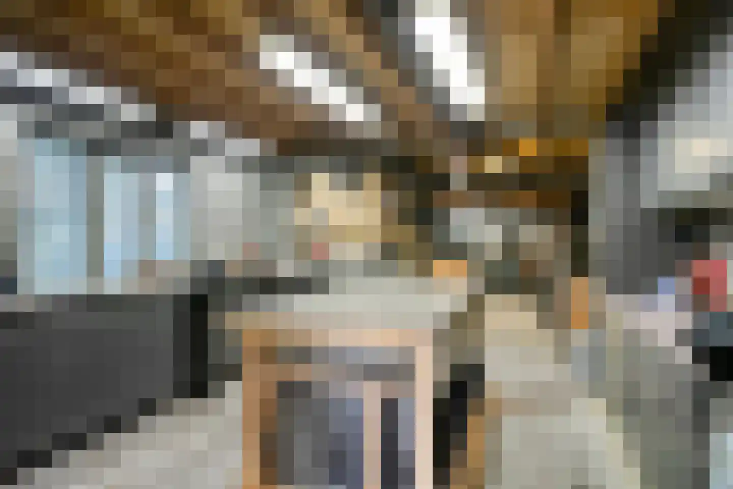 Vogelwikke 12 Bladel thumbnail 52