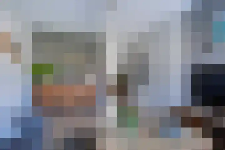 Vogelwikke 12 Bladel thumbnail 53