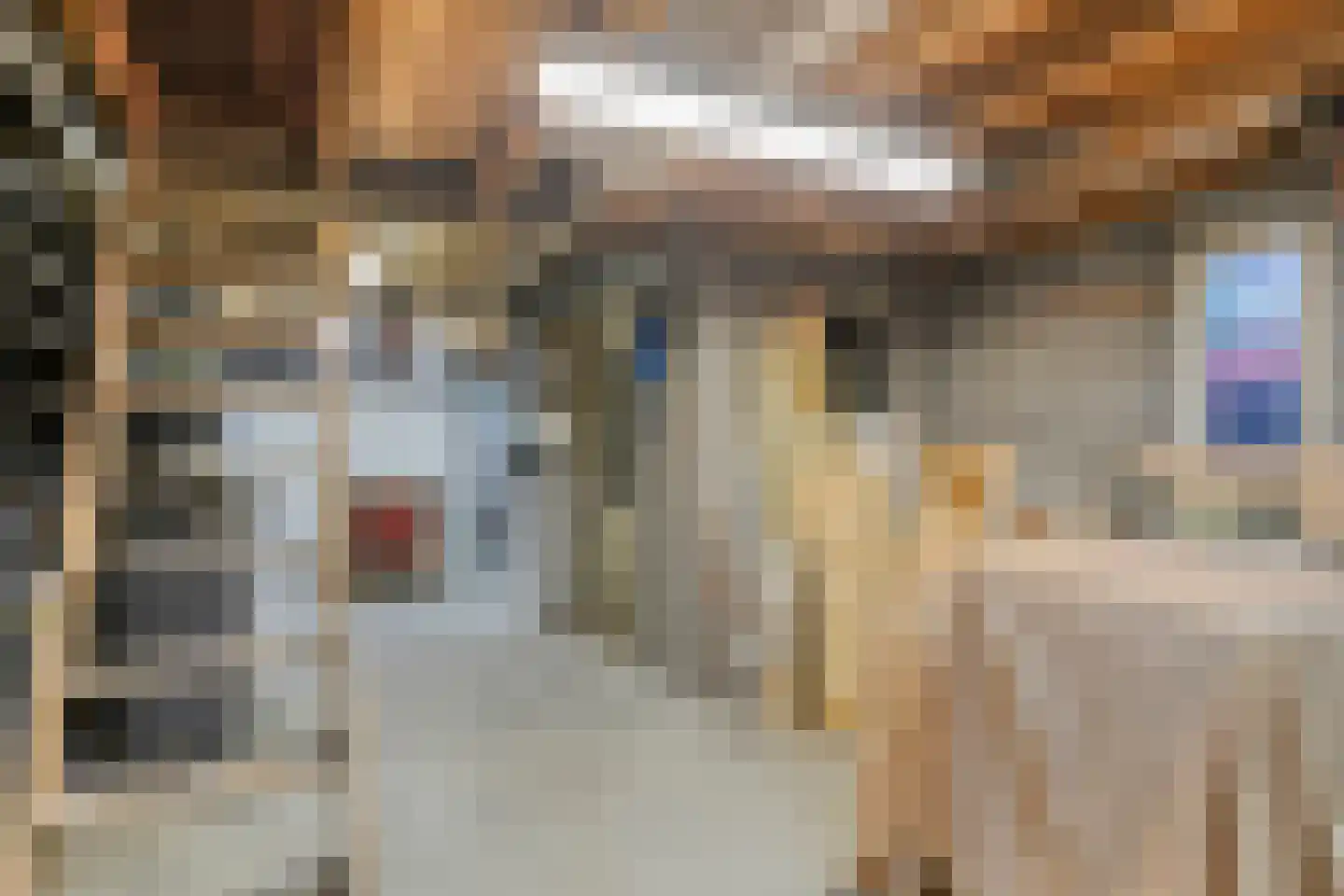 Vogelwikke 12 Bladel thumbnail 55
