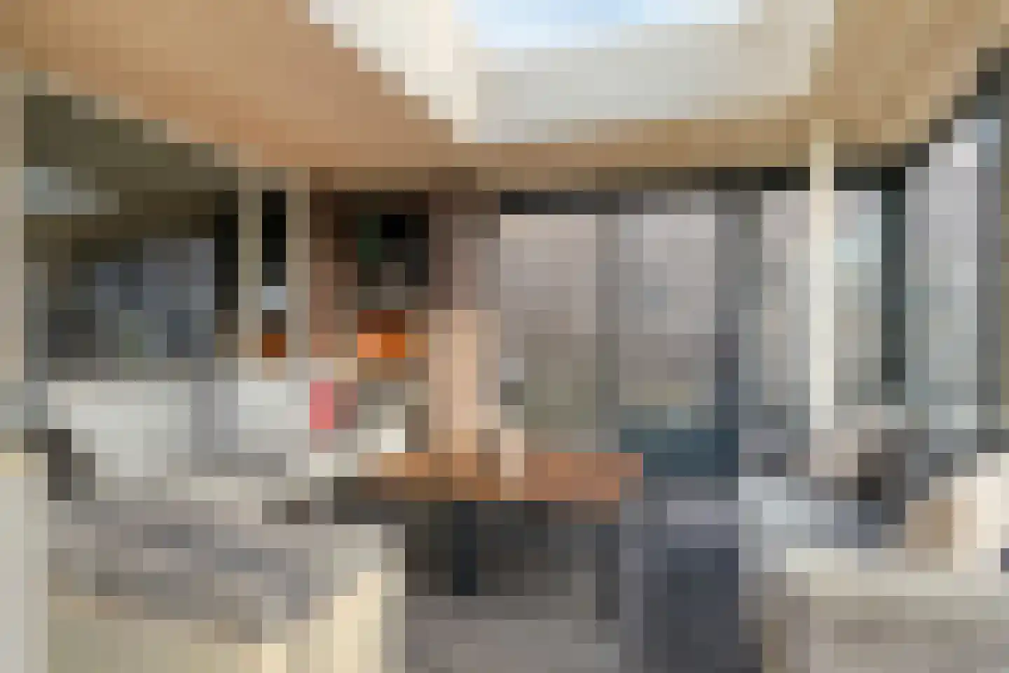 Vogelwikke 12 Bladel thumbnail 57