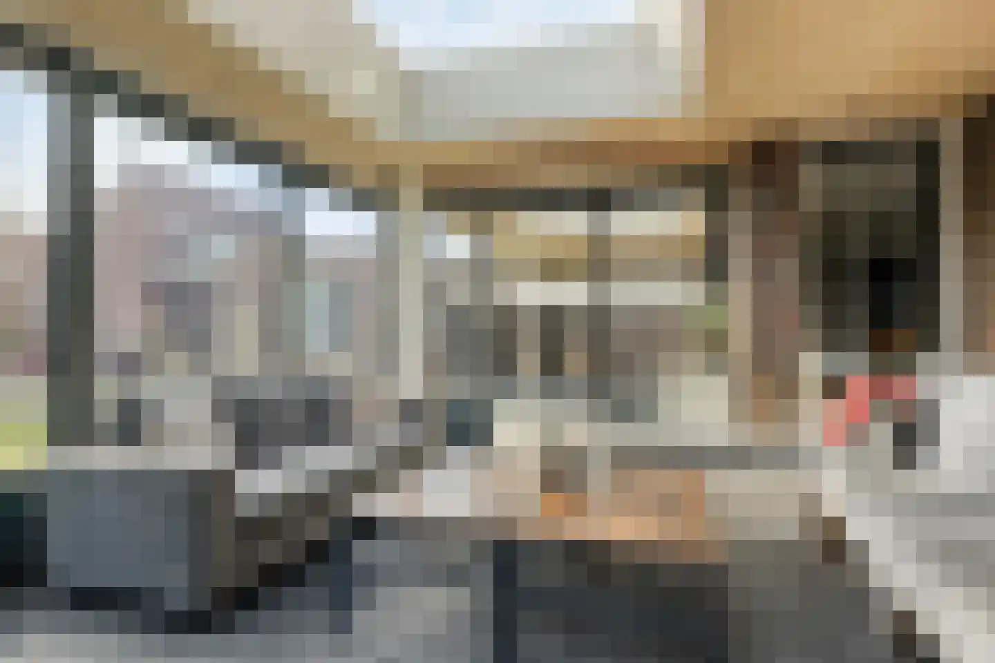 Vogelwikke 12 Bladel thumbnail 58