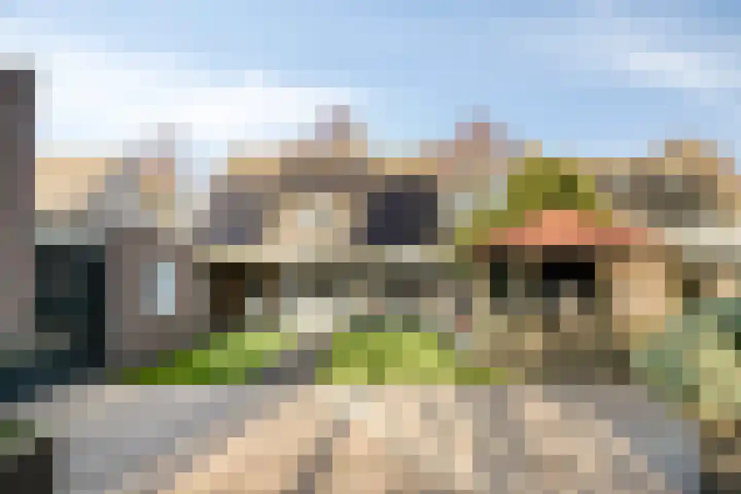 Vogelwikke 12 Bladel thumbnail 59