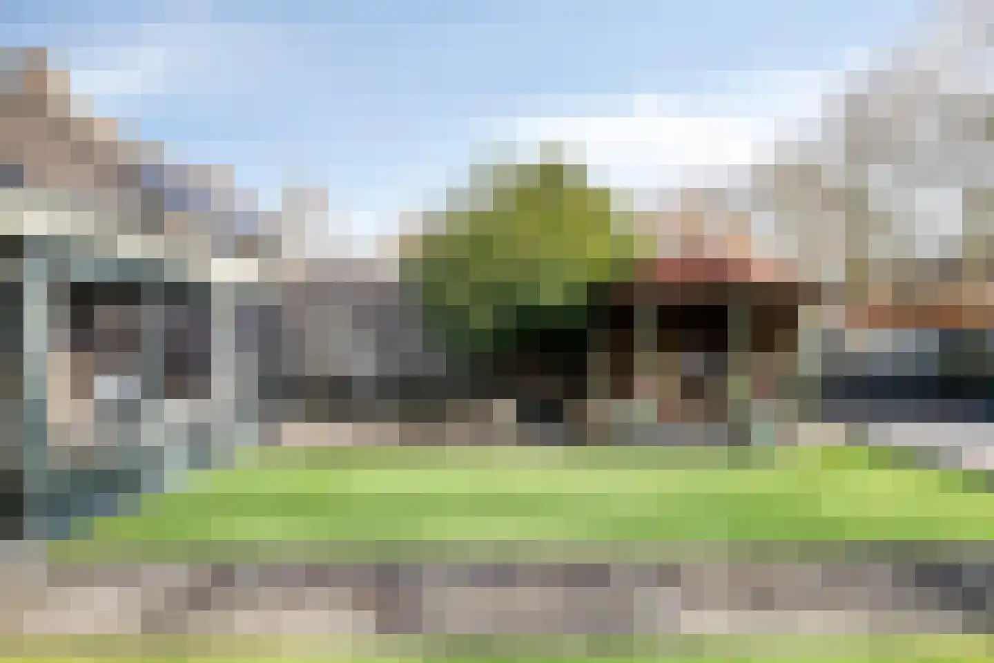 Vogelwikke 12 Bladel thumbnail 59