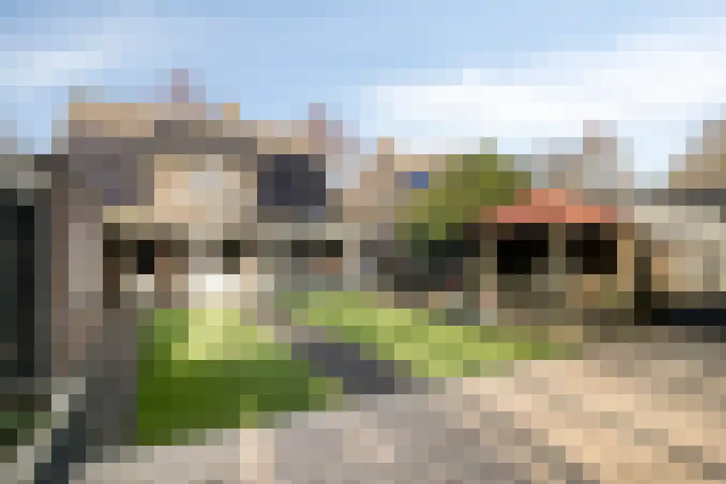 Vogelwikke 12 Bladel thumbnail 60