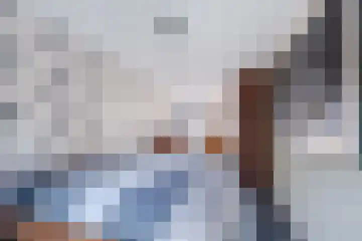 Vogelwikke 12 Bladel thumbnail 62