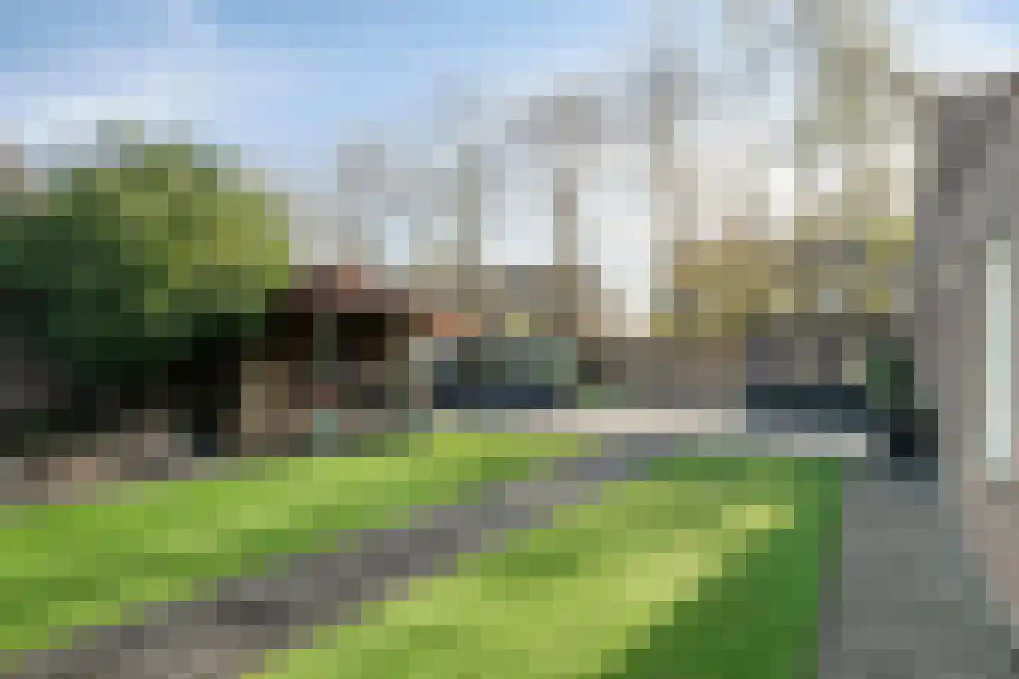 Vogelwikke 12 Bladel thumbnail 62