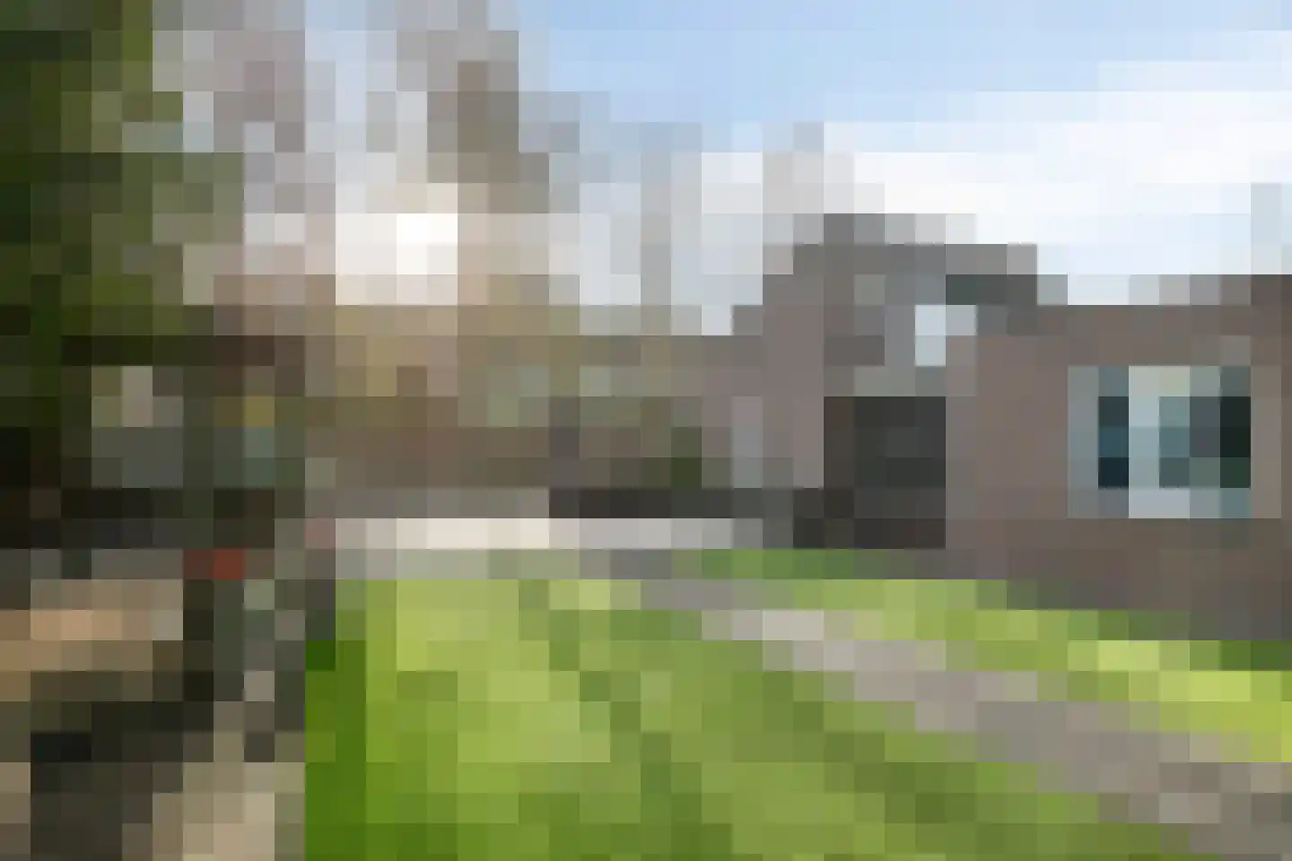Vogelwikke 12 Bladel thumbnail 63