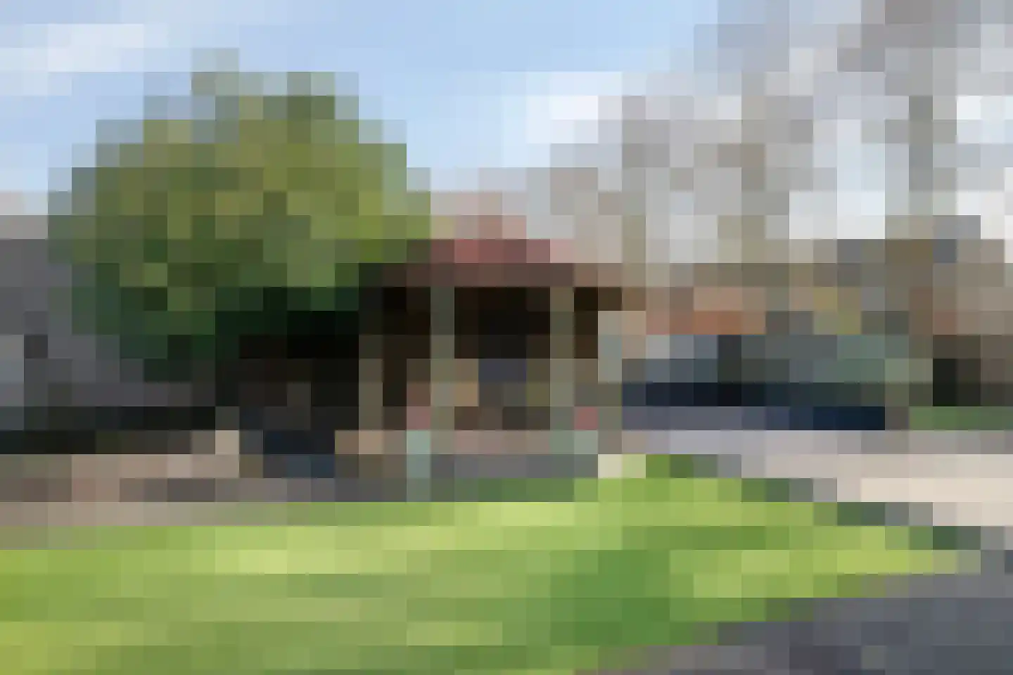 Vogelwikke 12 Bladel thumbnail 64