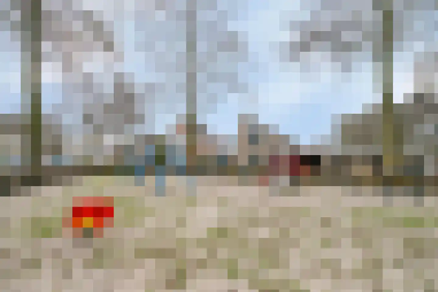 Vogelwikke 12 Bladel thumbnail 66