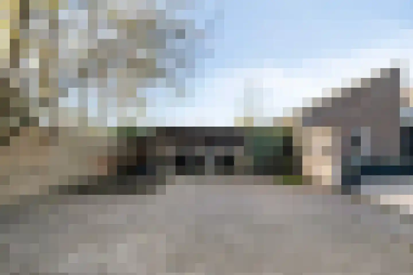 Vogelwikke 12 Bladel thumbnail 67