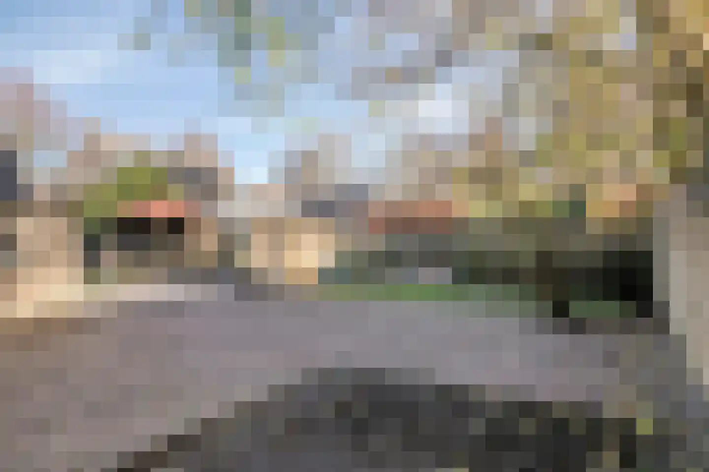 Vogelwikke 12 Bladel thumbnail 68