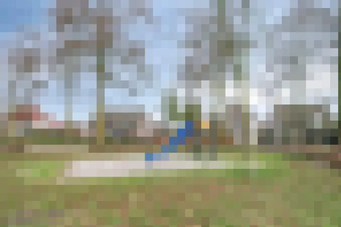 Vogelwikke 12 Bladel thumbnail 68