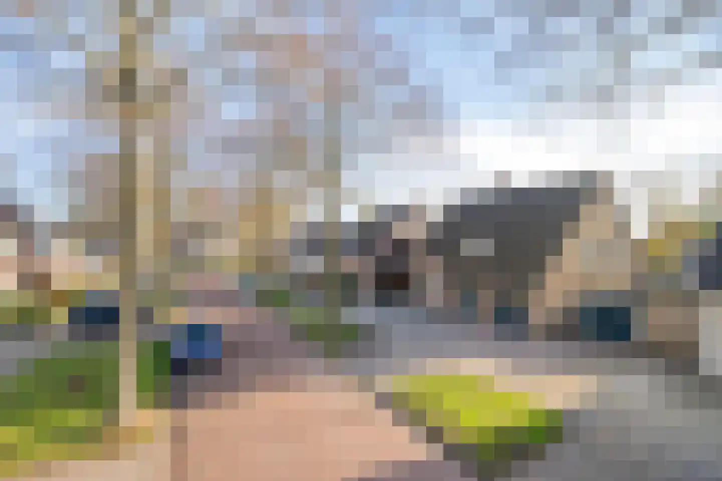 Vogelwikke 12 Bladel thumbnail 69