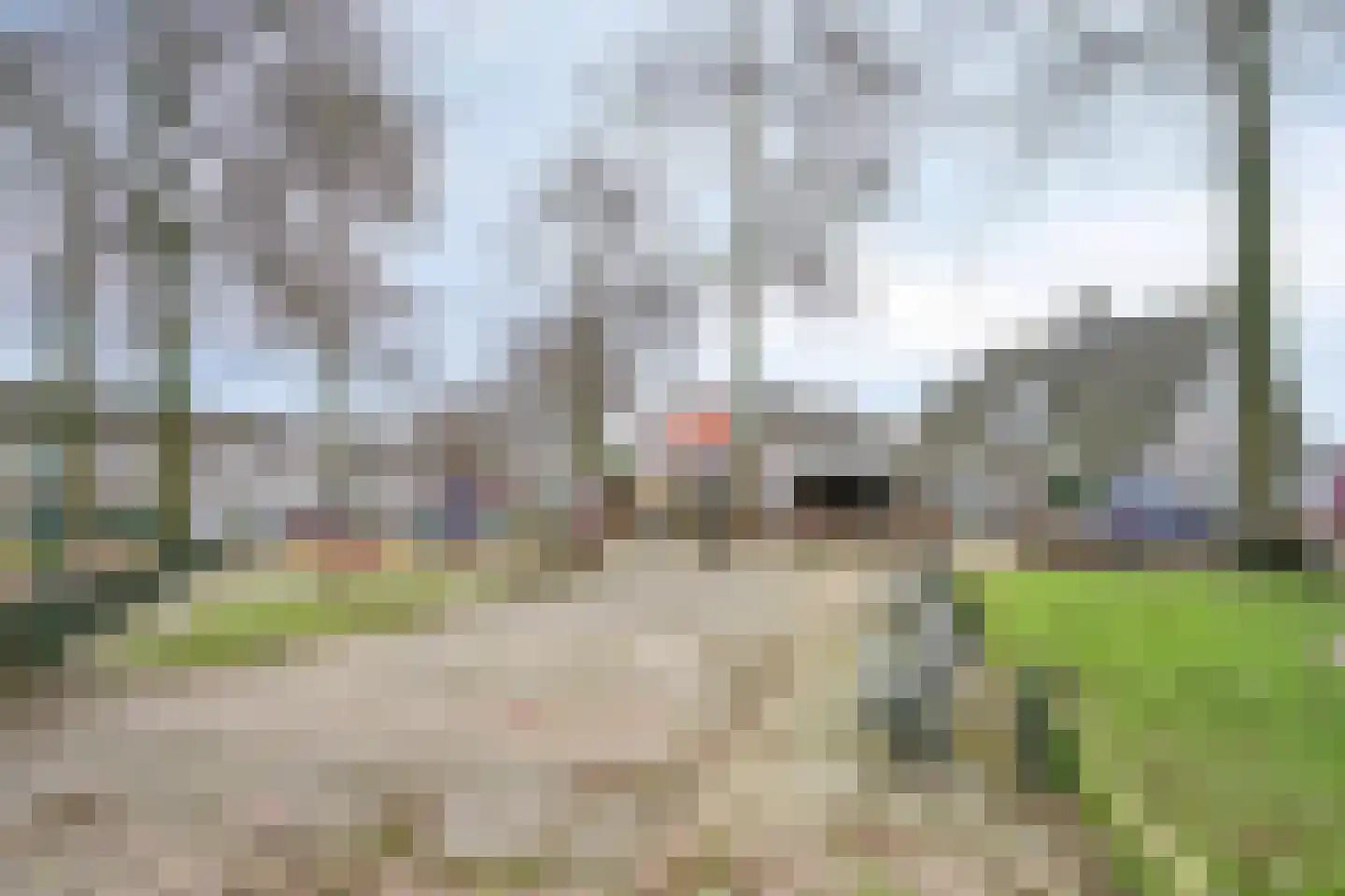 Vogelwikke 12 Bladel thumbnail 70