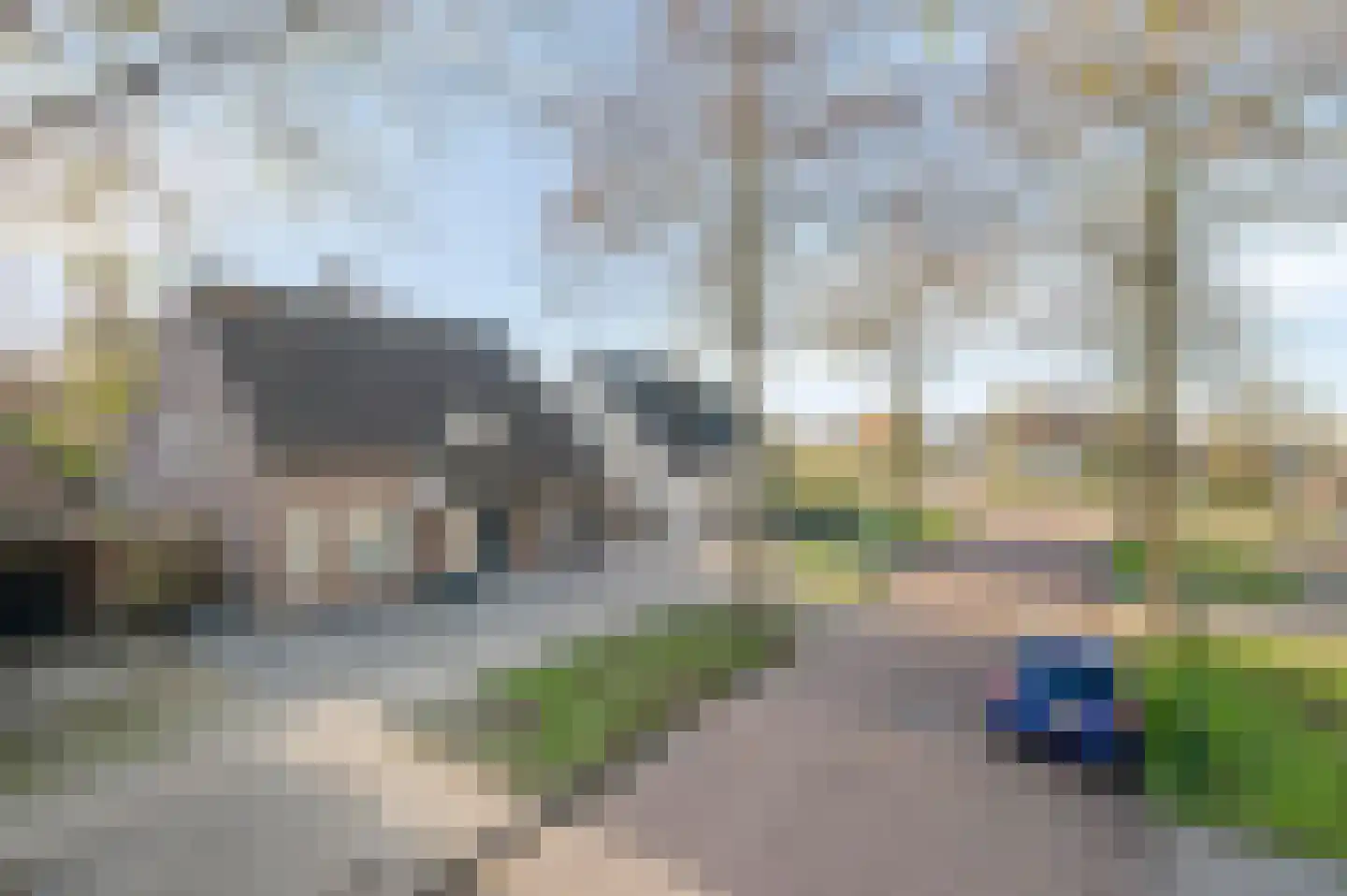 Vogelwikke 12 Bladel thumbnail 71