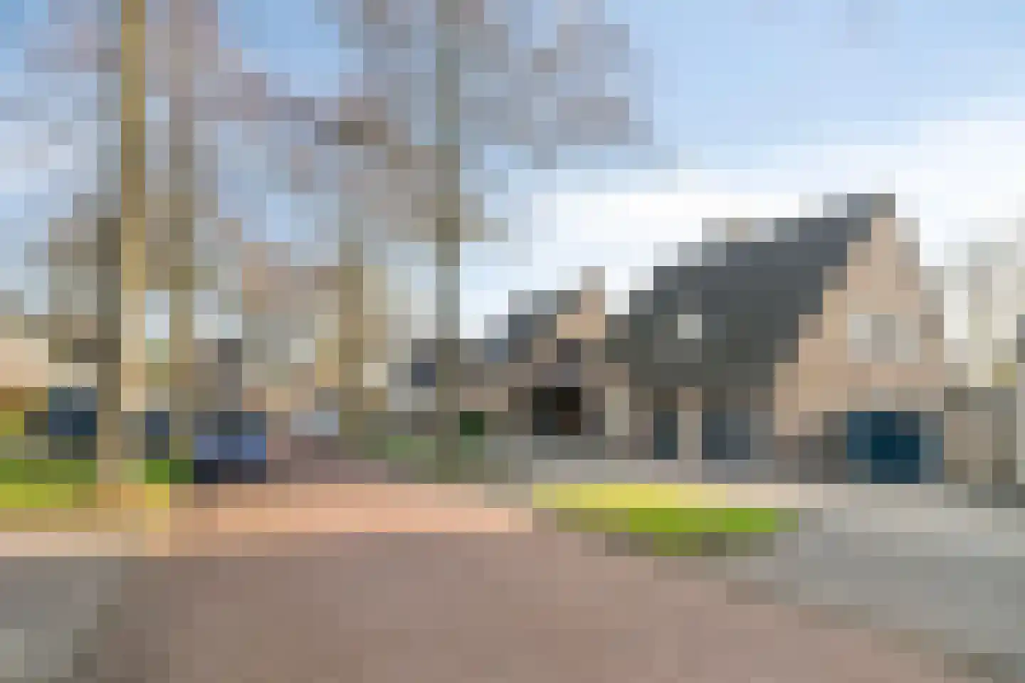 Vogelwikke 12 Bladel thumbnail 72