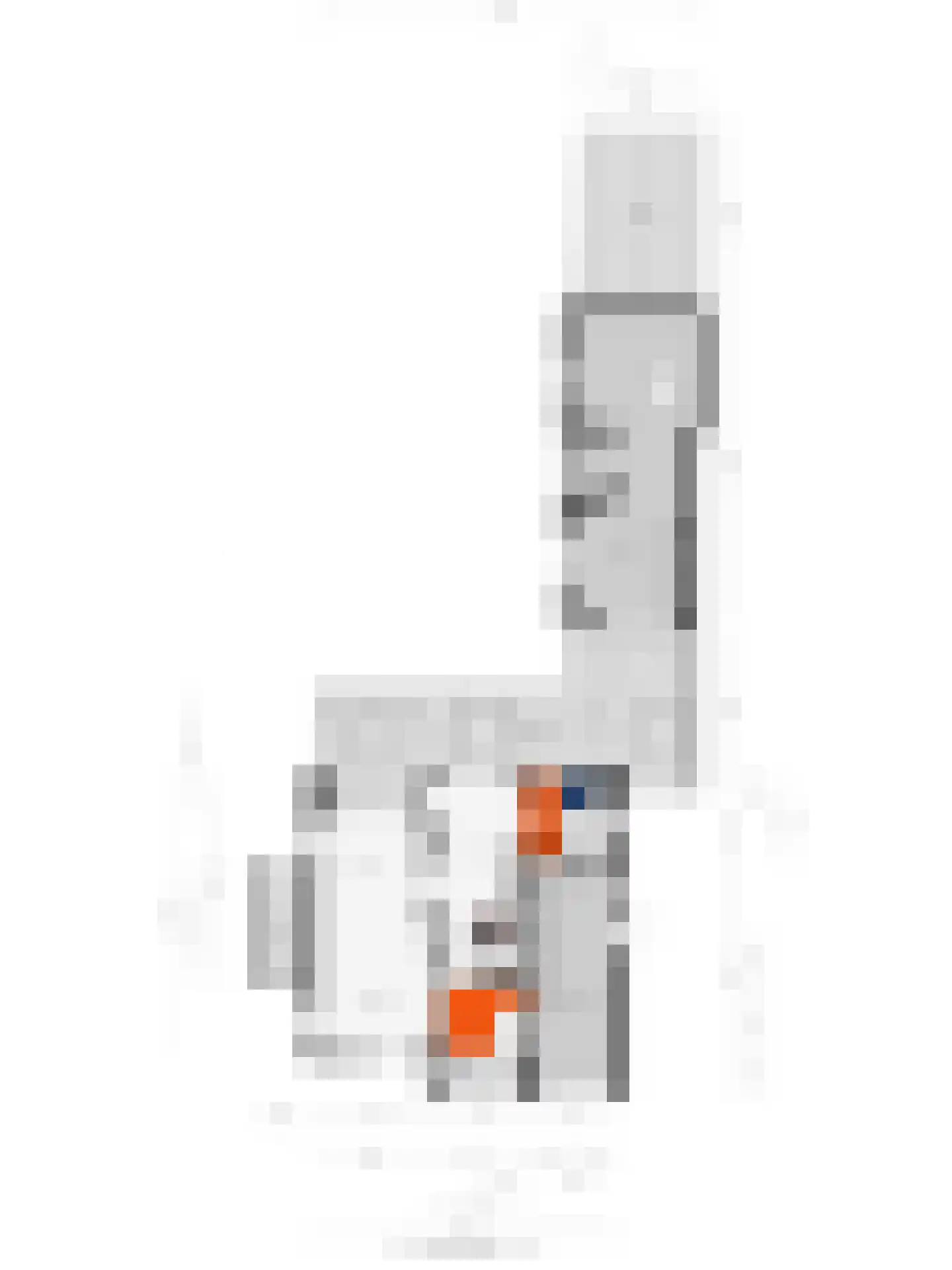Vogelwikke 12 Bladel thumbnail 77