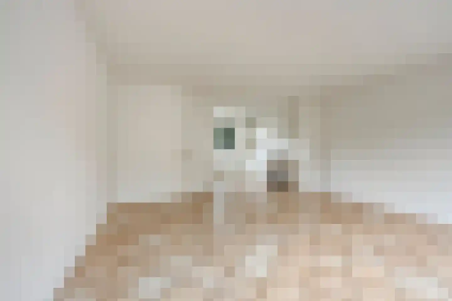 Vogelwikke 12 Swifterbant thumbnail 10