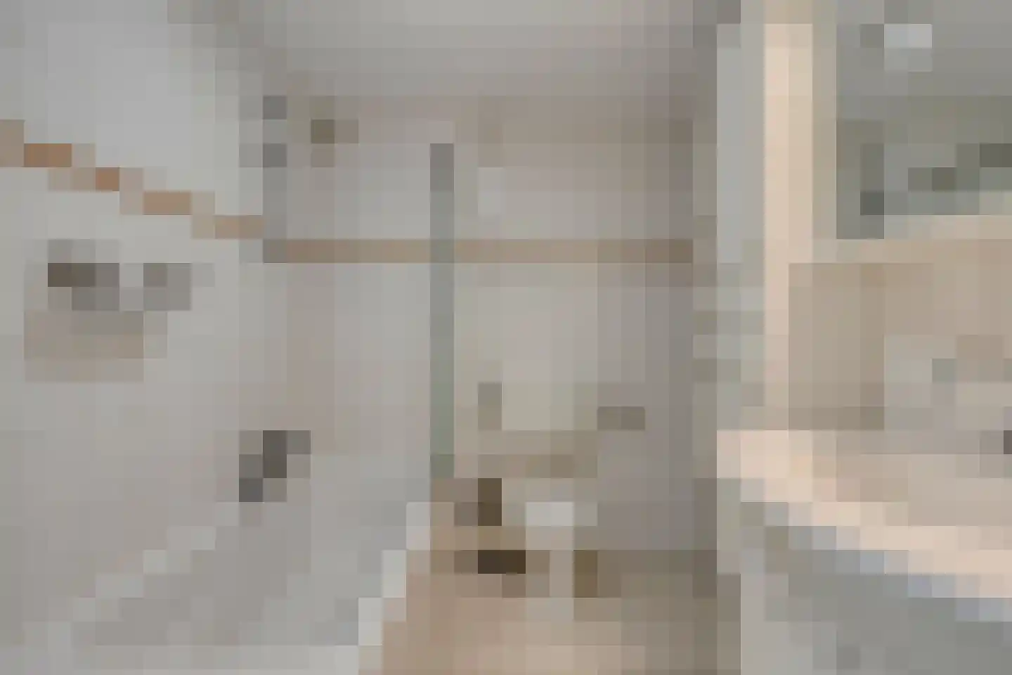 Vogelwikke 12 Swifterbant thumbnail 17