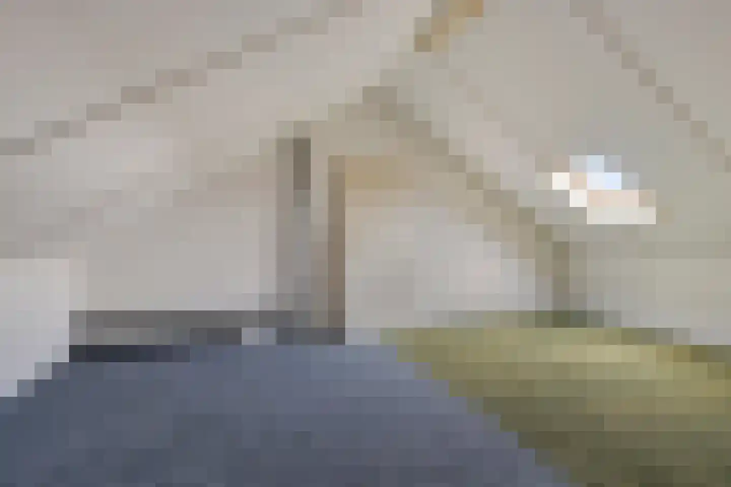 Vogelwikke 12 Swifterbant thumbnail 21