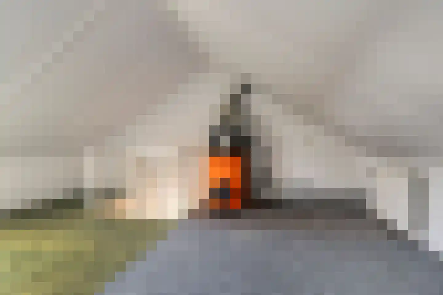 Vogelwikke 12 Swifterbant thumbnail 22