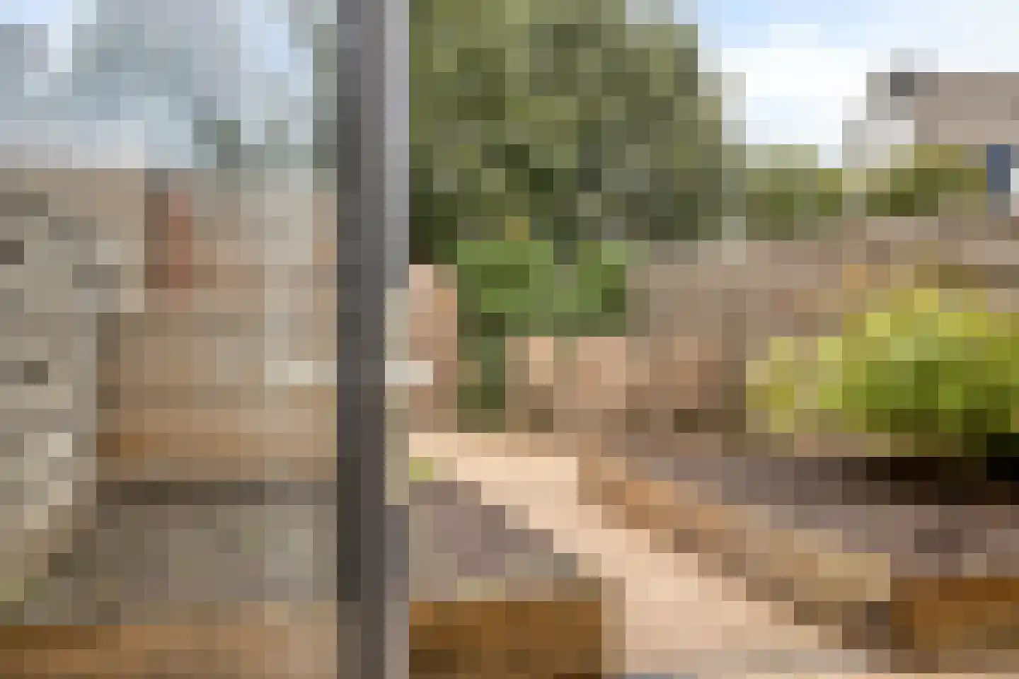 Vogelwikke 12 Swifterbant thumbnail 23