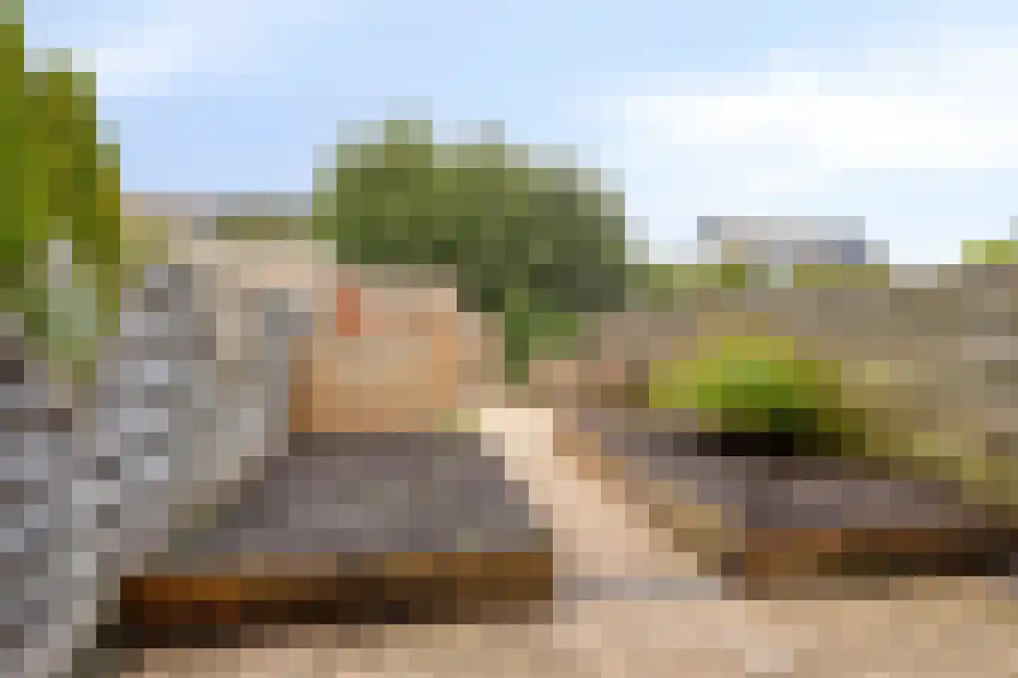 Vogelwikke 12 Swifterbant thumbnail 24