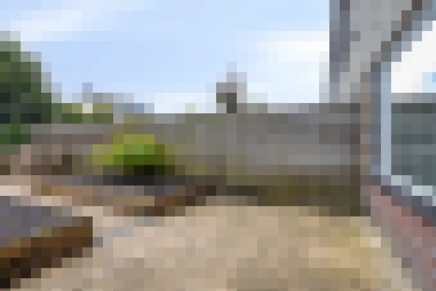 Vogelwikke 12 Swifterbant thumbnail 27