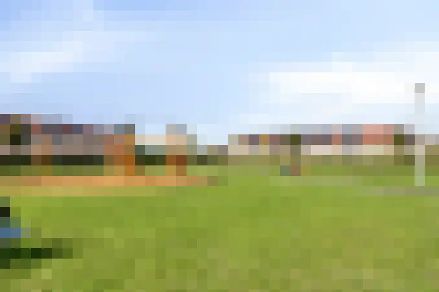 Vogelwikke 12 Swifterbant thumbnail 28