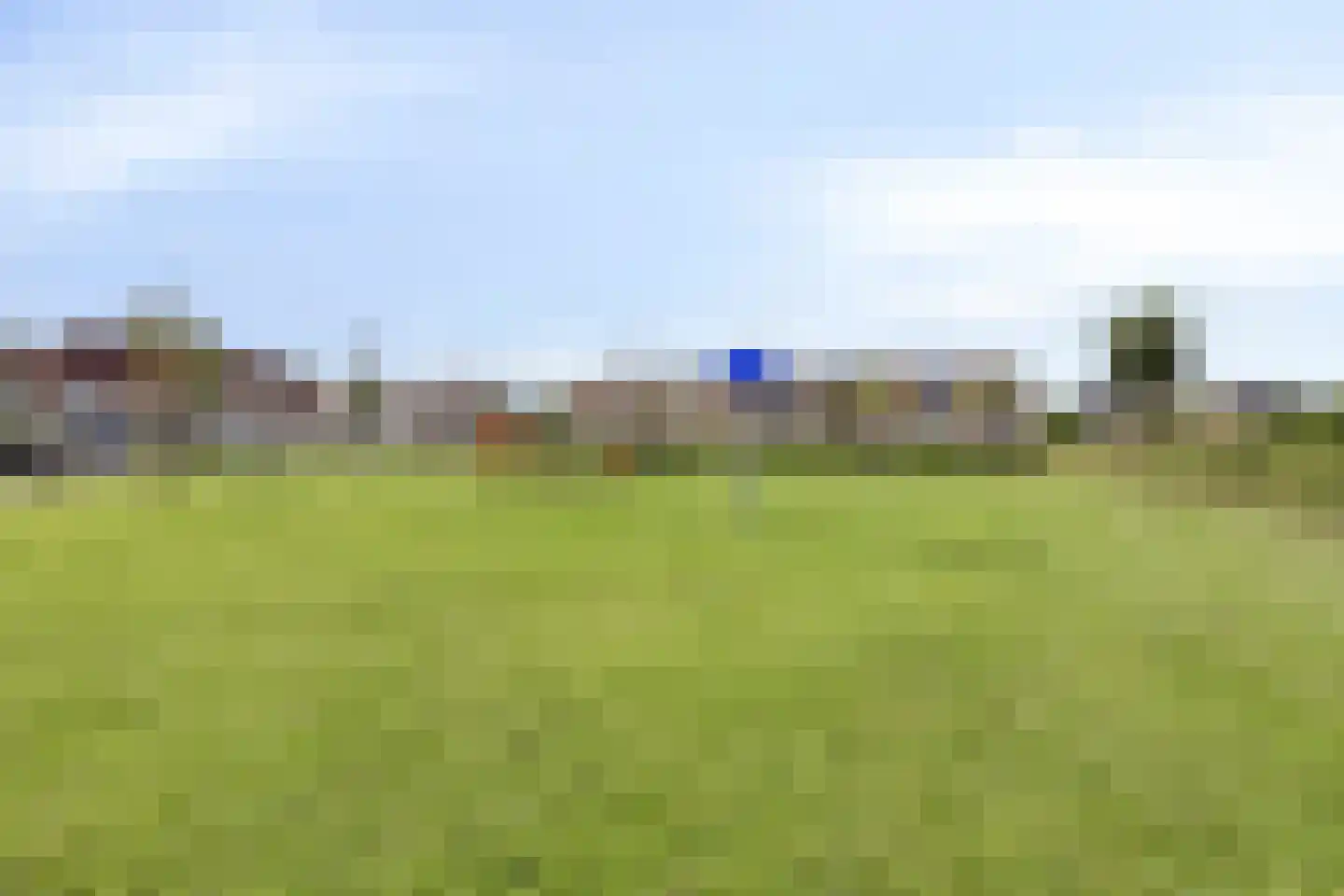 Vogelwikke 12 Swifterbant thumbnail 29