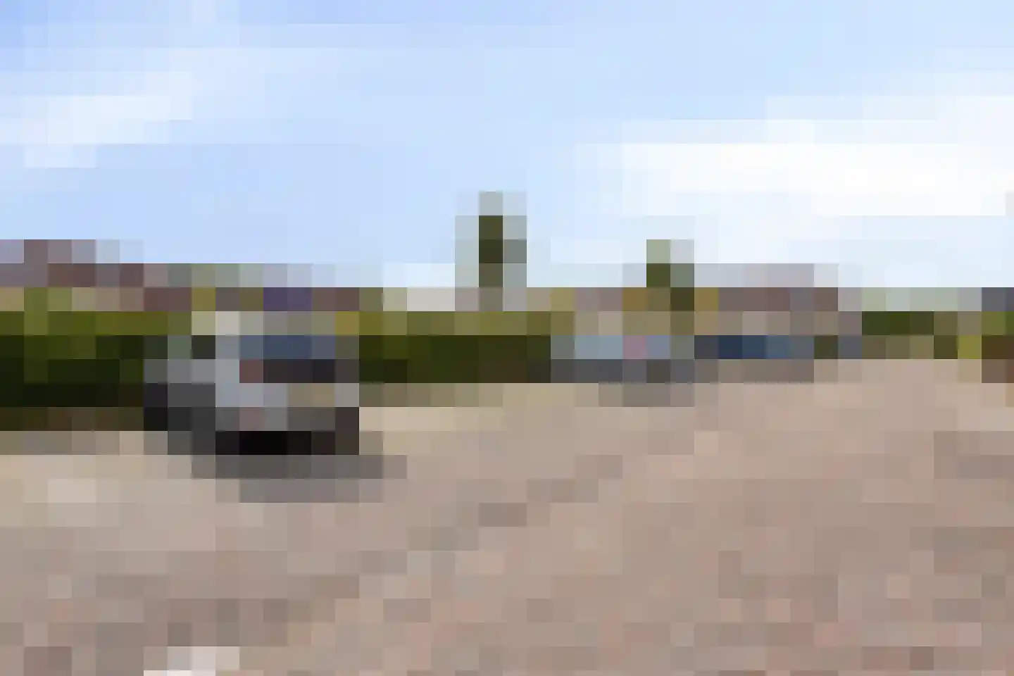 Vogelwikke 12 Swifterbant thumbnail 30