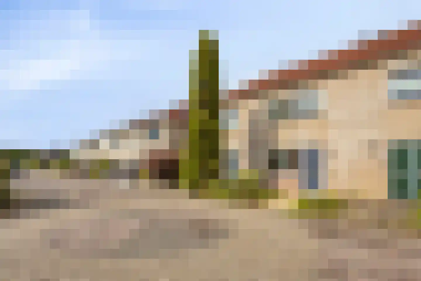 Vogelwikke 12 Swifterbant thumbnail 5