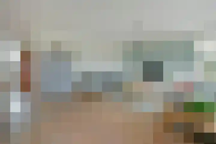 Vogelwikke 14 Zevenhoven thumbnail 10
