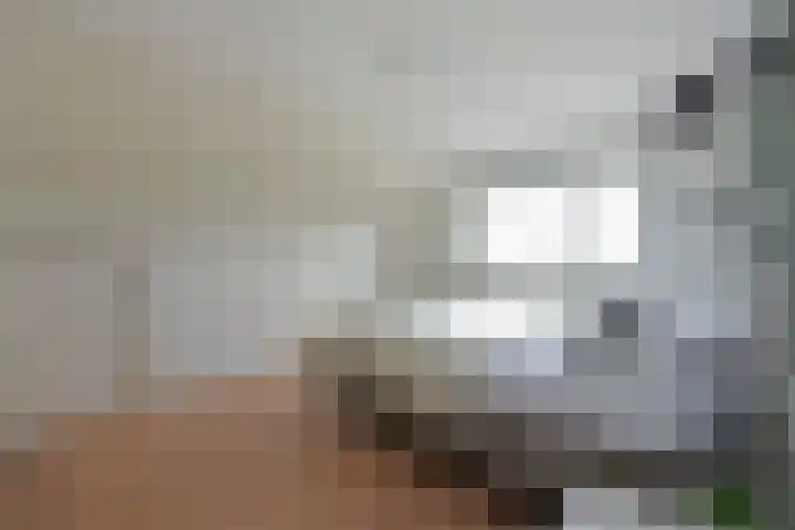 Vogelwikke 14 Zevenhoven thumbnail 16