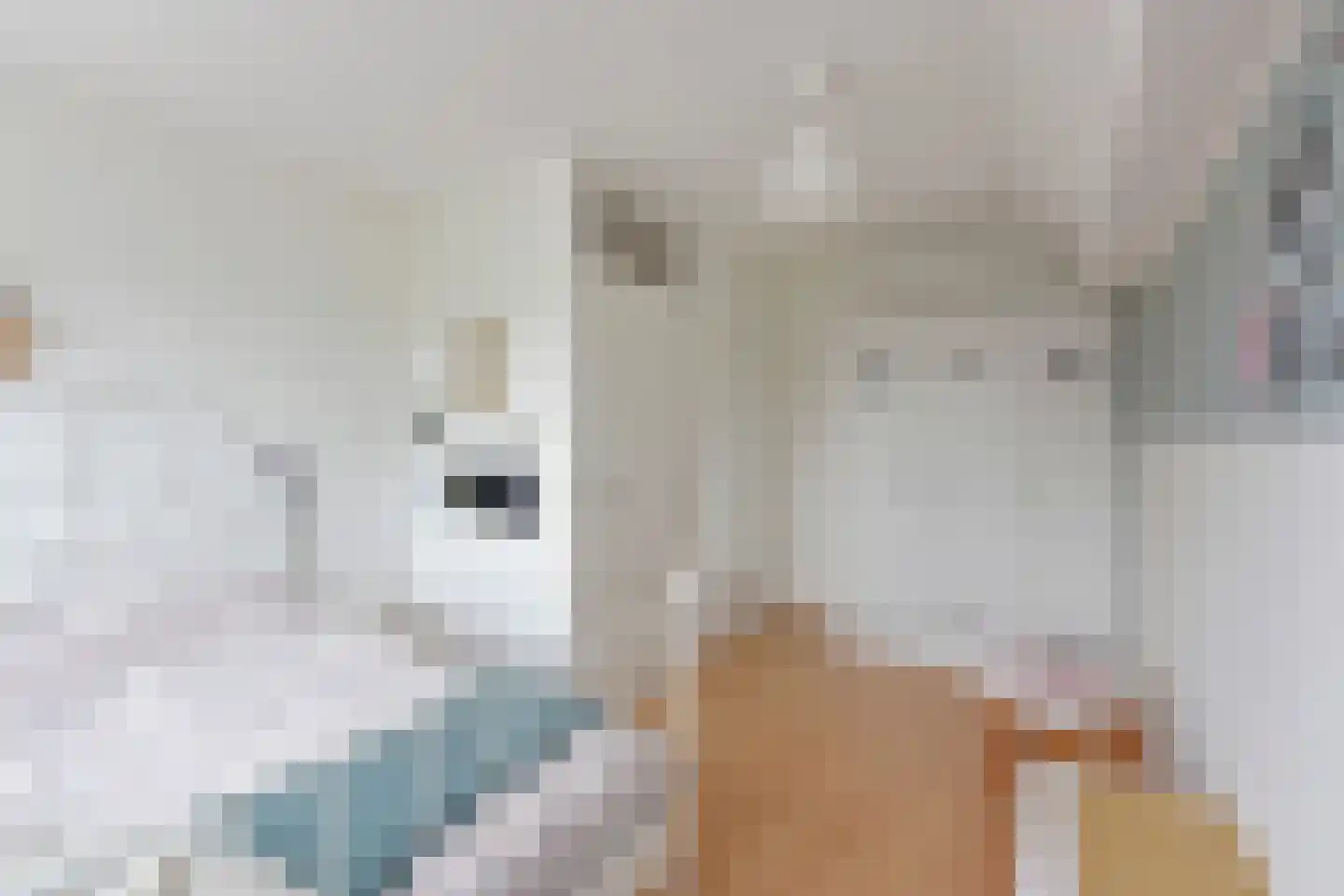 Vogelwikke 14 Zevenhoven thumbnail 20