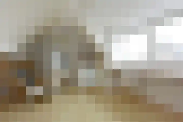 Vogelwikke 14 Zevenhoven thumbnail 25