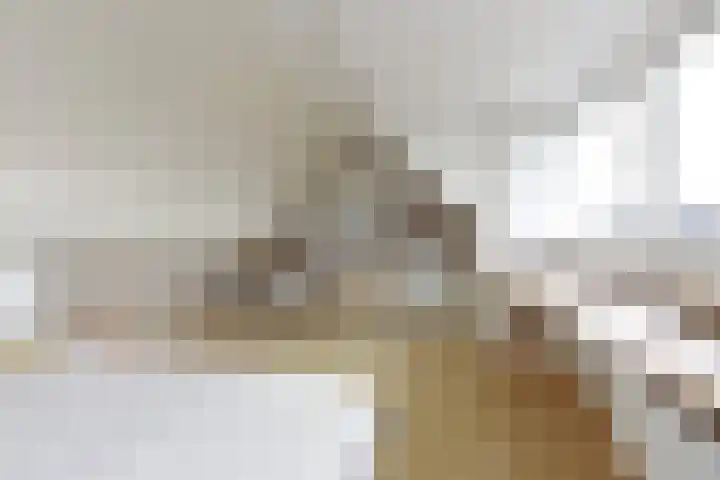 Vogelwikke 14 Zevenhoven thumbnail 26