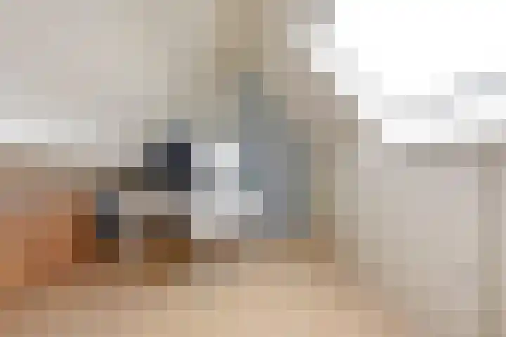 Vogelwikke 14 Zevenhoven thumbnail 27
