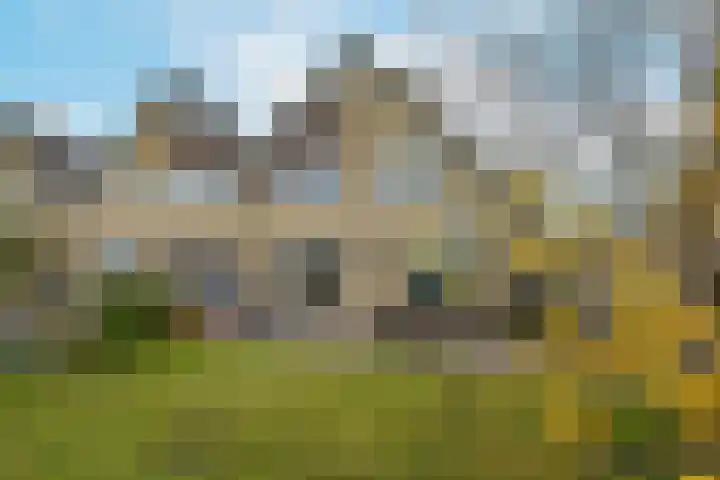 Vogelwikke 14 Zevenhoven thumbnail 28