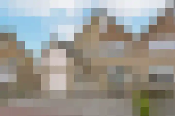 Vogelwikke 14 Zevenhoven thumbnail 29