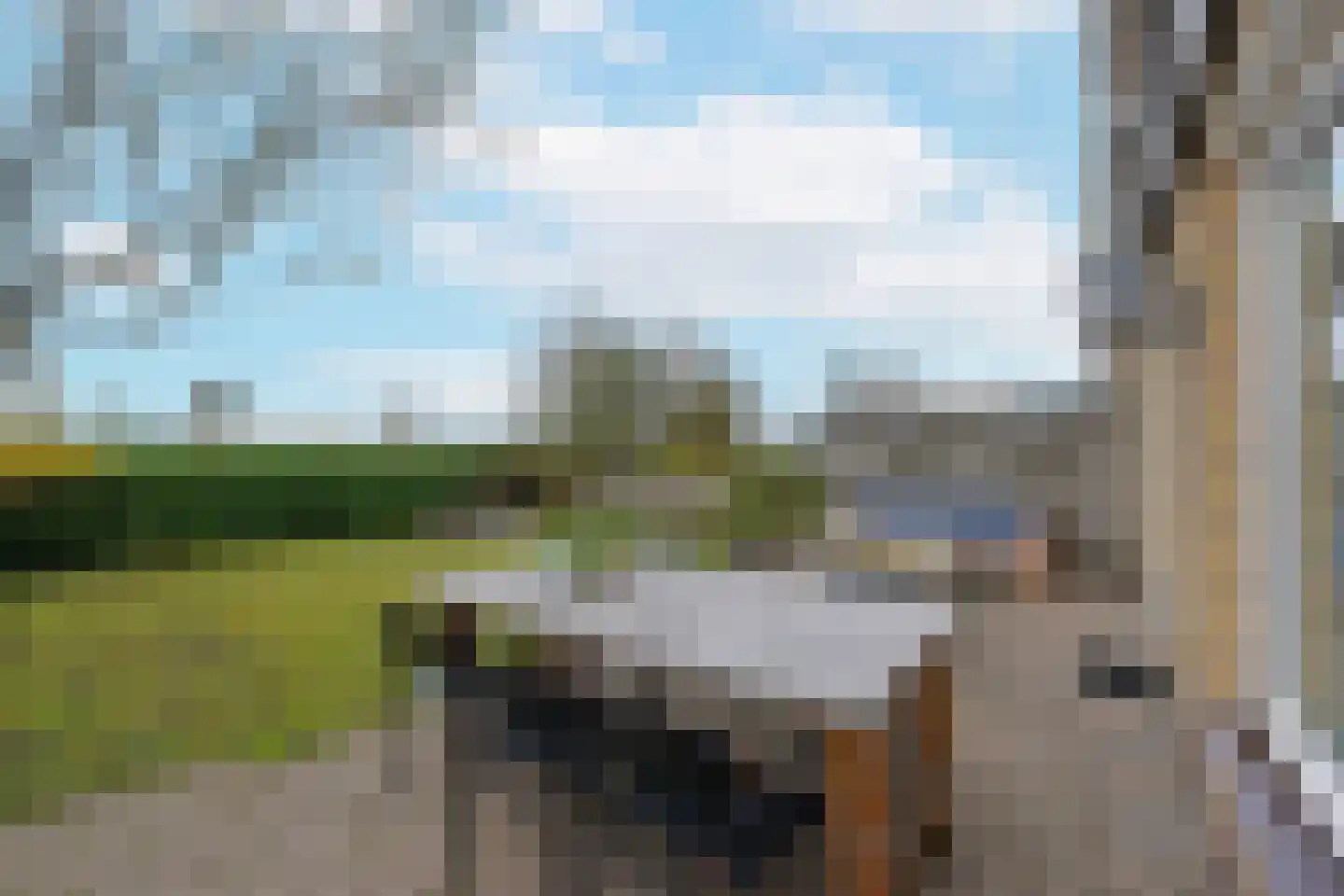 Vogelwikke 14 Zevenhoven thumbnail 33