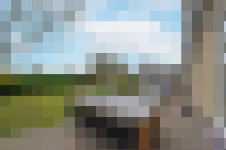 Vogelwikke 14 Zevenhoven thumbnail 33
