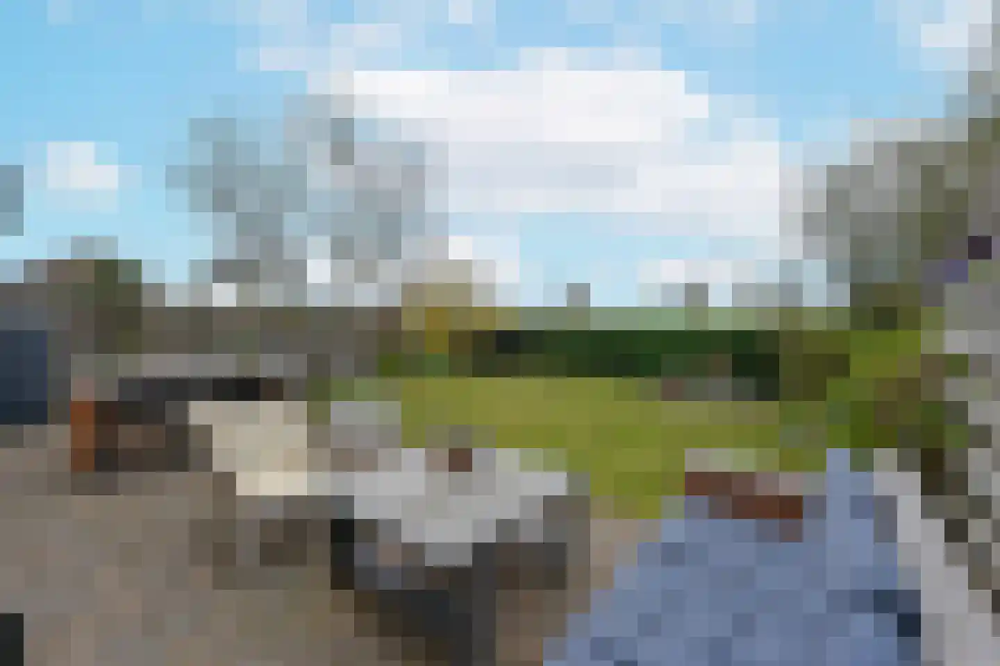 Vogelwikke 14 Zevenhoven thumbnail 34