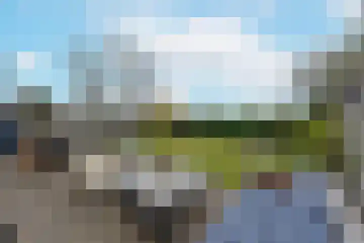 Vogelwikke 14 Zevenhoven thumbnail 34