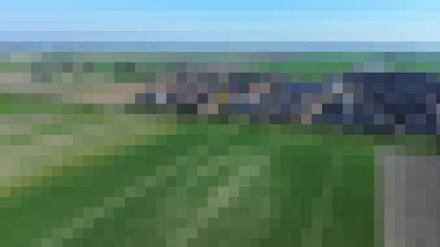 Vogelwikke 14 Zevenhoven thumbnail 35