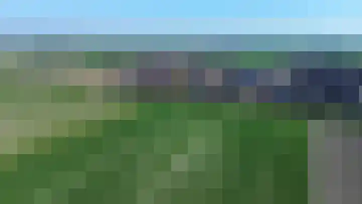 Vogelwikke 14 Zevenhoven thumbnail 35